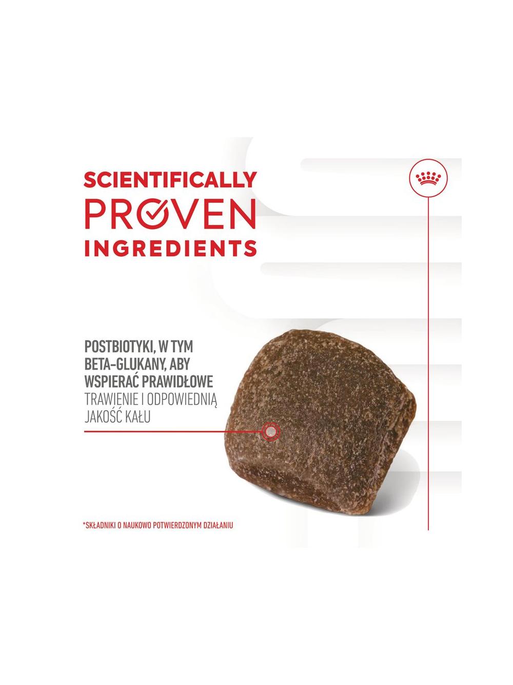 Royal Canin Digestion Adult Chews 160g