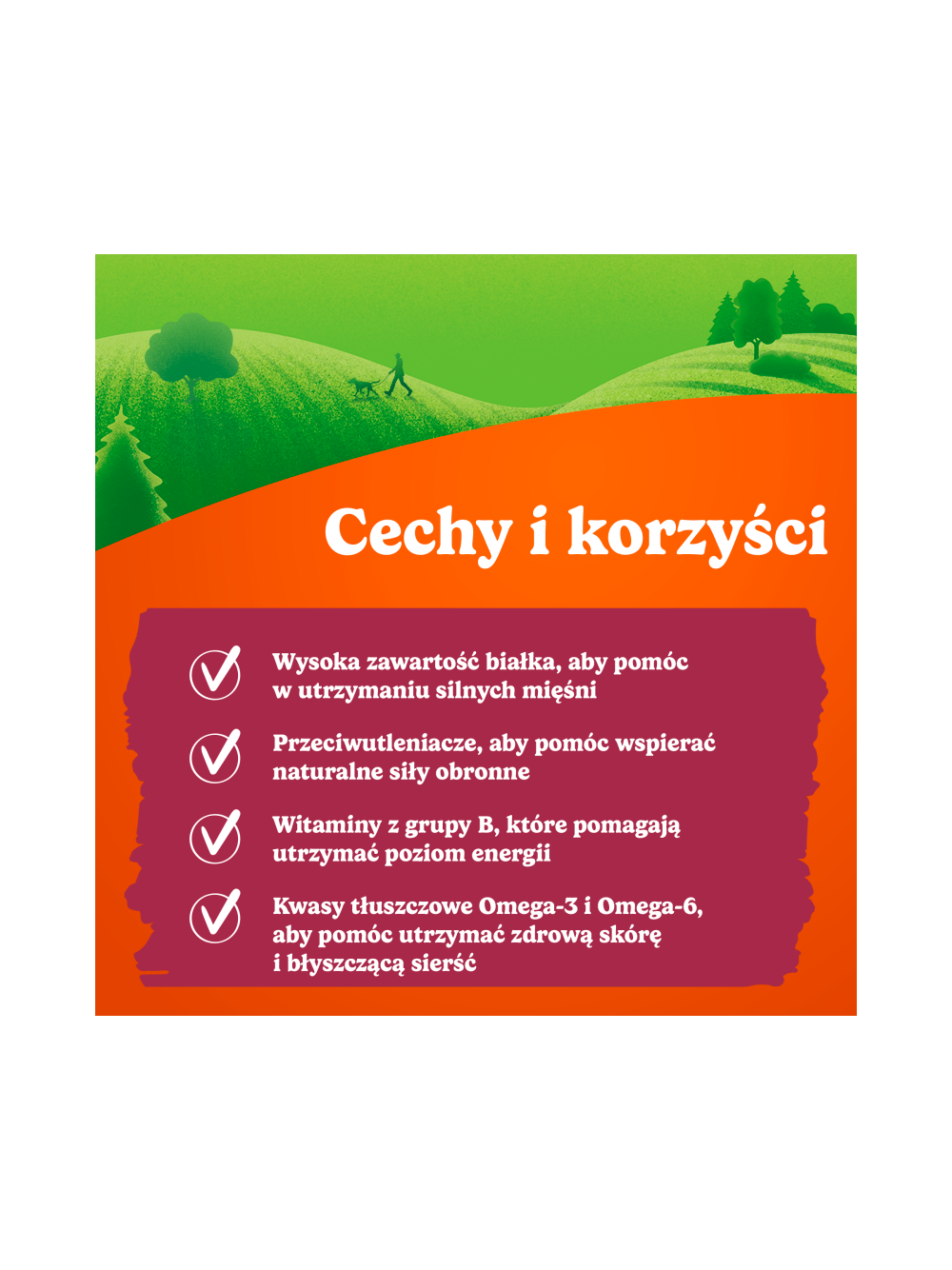 Friskies Picnic Variety dla dorosłych psów 3x126 g (15 sztuk)