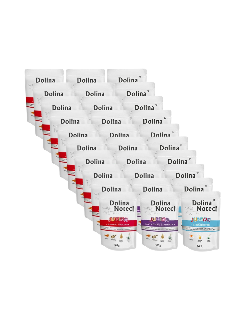Dolina Noteci PREMIUM Junior MIX Smaków 30x300g
