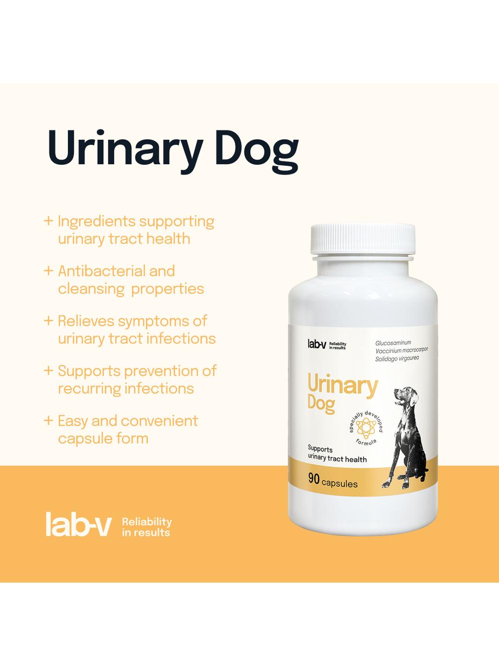 Lab-v Urinary Dog – Wsparcie przy zakażeniu dróg moczowych u psów 90 kapsułek