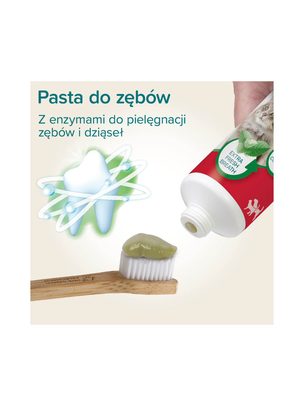 Beaphar TOOTHPASTE MINT&PARSLEY - pasta do zębów- mięta/ pietruszka