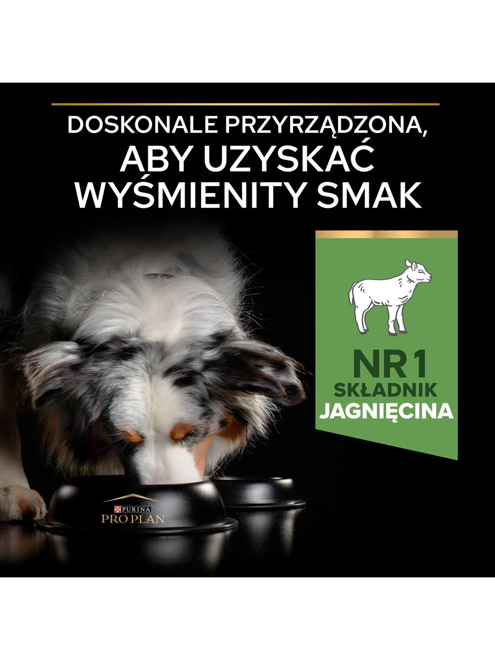 PRO PLAN Sensitive Digestion Medium Adult Karma dla psów bogata w jagnięcinę 14kg + NIESPODZIANKA DLA PSA GRATIS!!