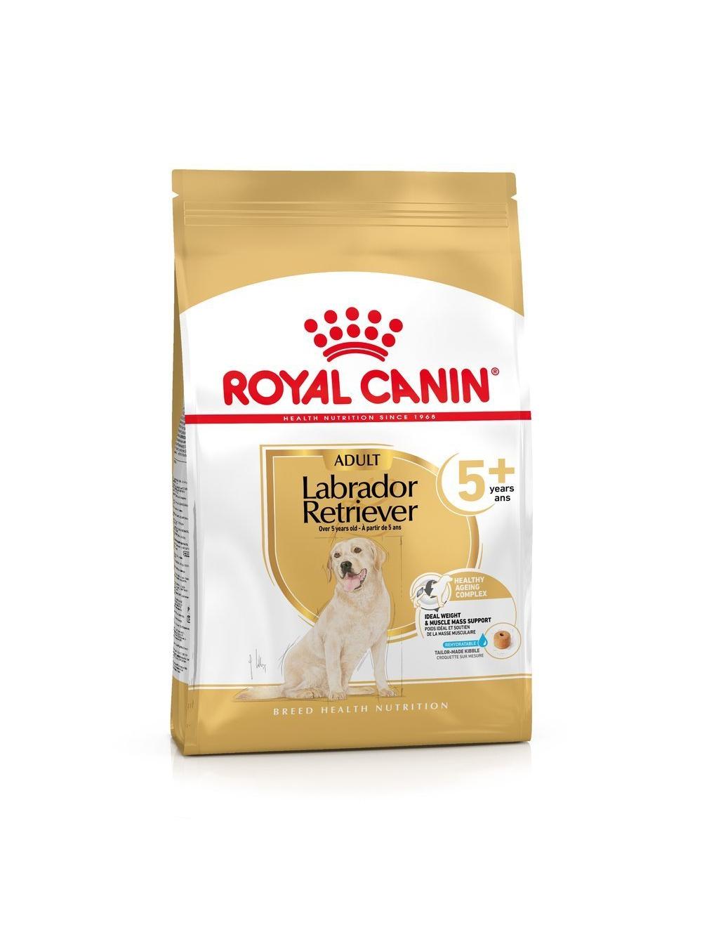 ROYAL CANIN Labrador Retriever Adult 5+ 12kg karma sucha dla psów dorosłych rasy Labrador Retriever, powyżej 5 roku życia