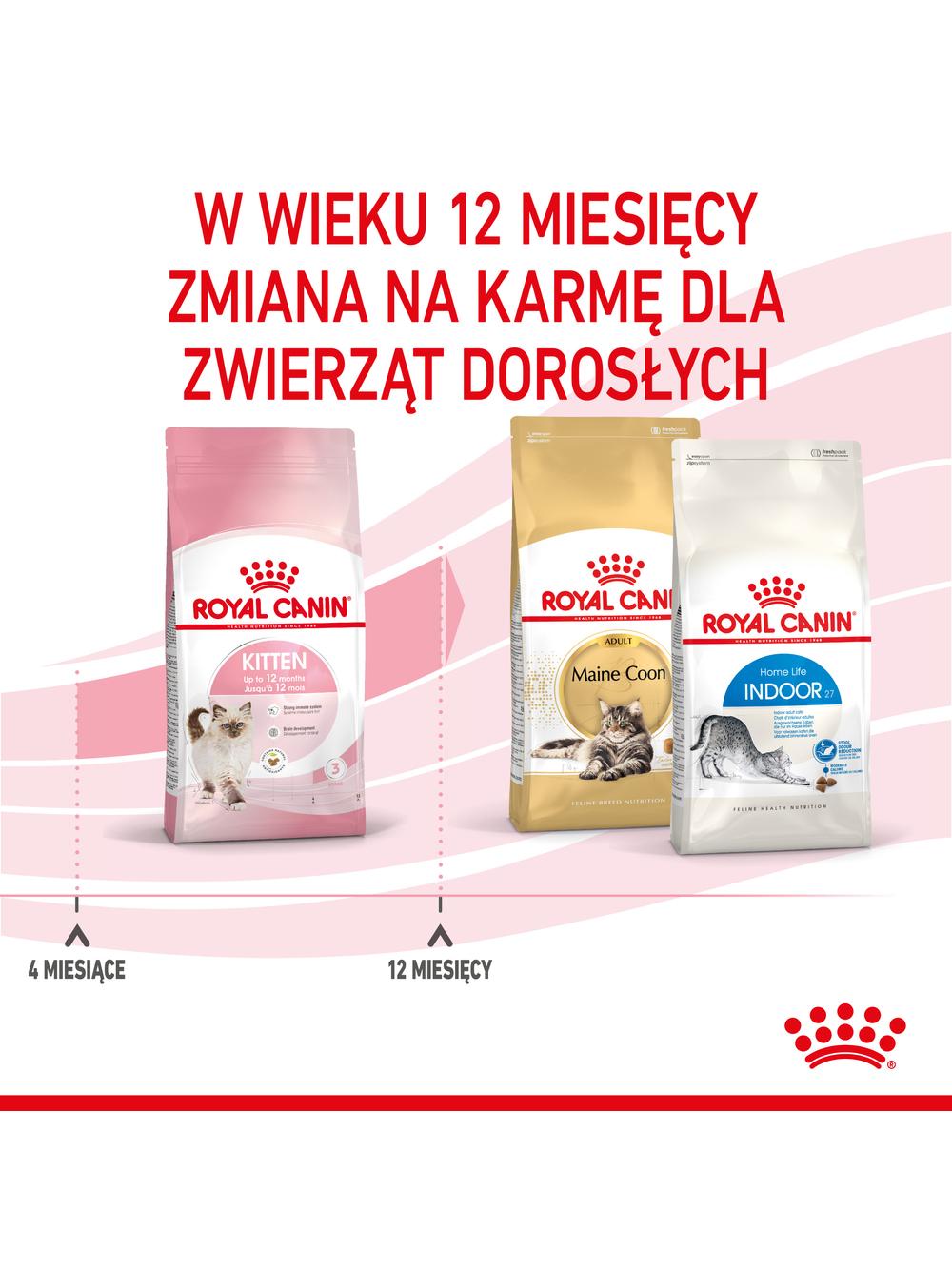 ROYAL CANIN  Kitten 10kg karma sucha dla kociąt od 4 do 12 miesiąca życia + Piłka dla kota GRATIS!