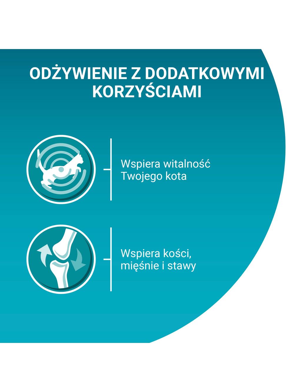 Purina One Adult Karma dla kotów z kurczakiem i zieloną fasolką 85 g