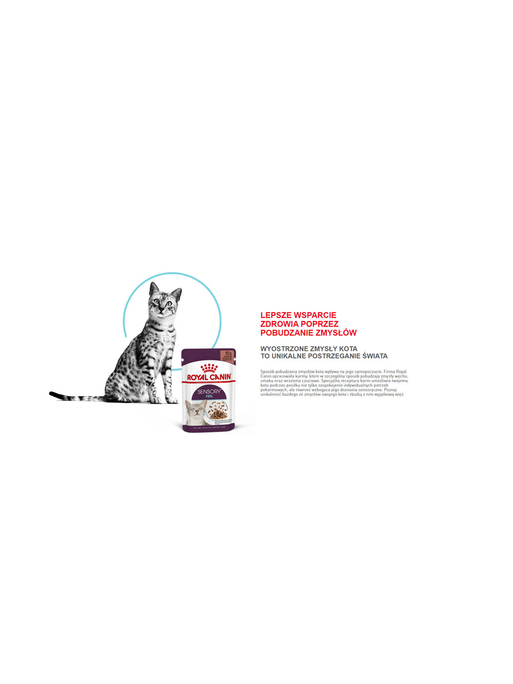 ROYAL CANIN Sensory Feel/Taste/Smell 85g