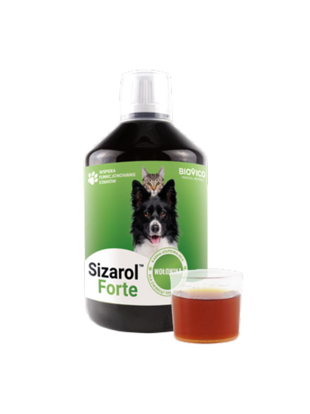 BIOVICO Sizarol Forte 500 ml