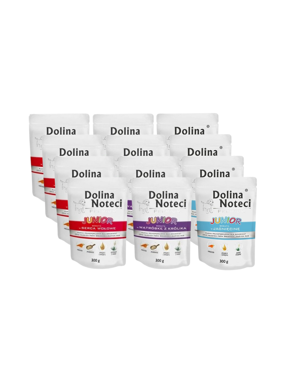 Dolina Noteci PREMIUM Junior MIX Smaków 12x300g