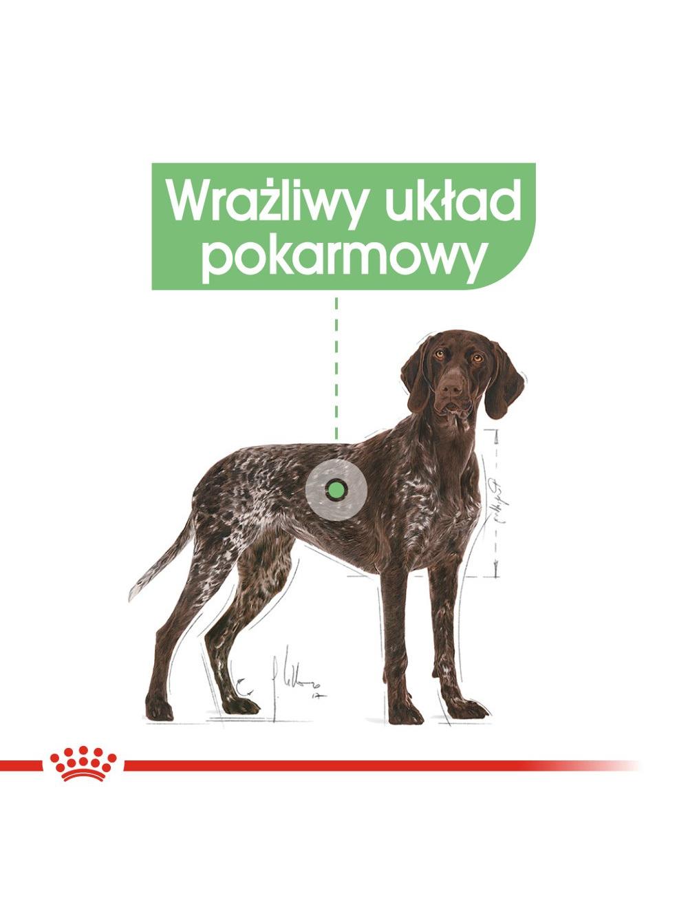 ROYAL CANIN CCN Maxi Digestive Care 3kg karma sucha dla psów dorosłych, ras dużych o wrażliwym przewodzie pokarmowym