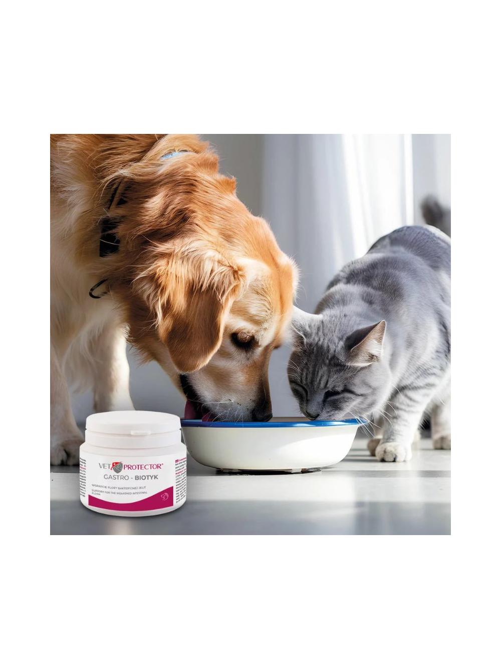 VET PROTECTOR® GASTRO – BIOTYK – multibiotyk dla psa i kota 60 g