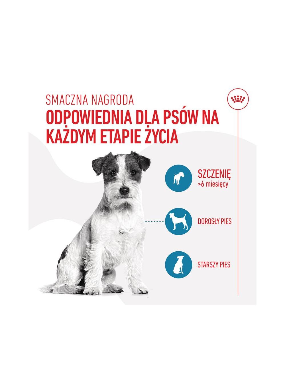 Royal Canin Training Treats 110g