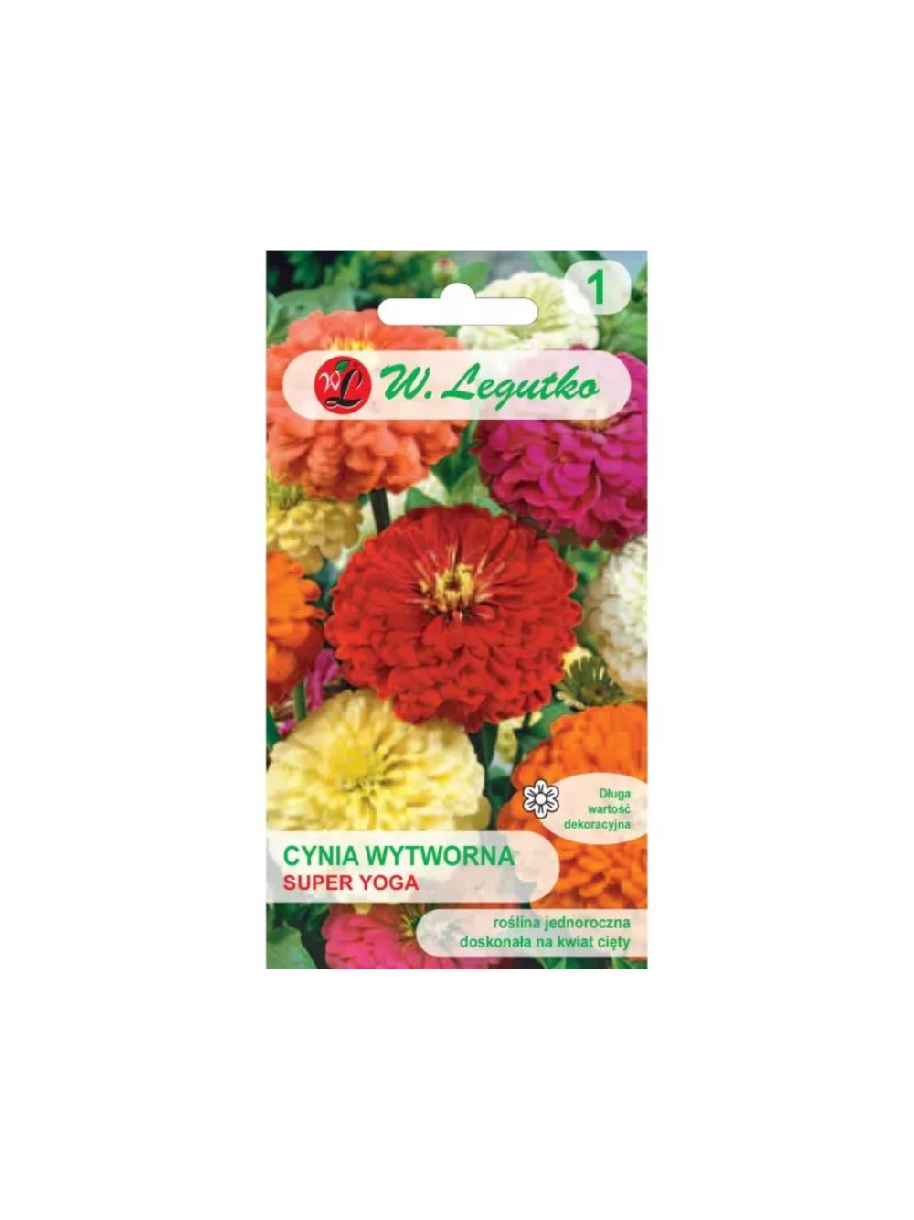 Cynia wytworna Super Yoga mieszanka wielkokwiatowa