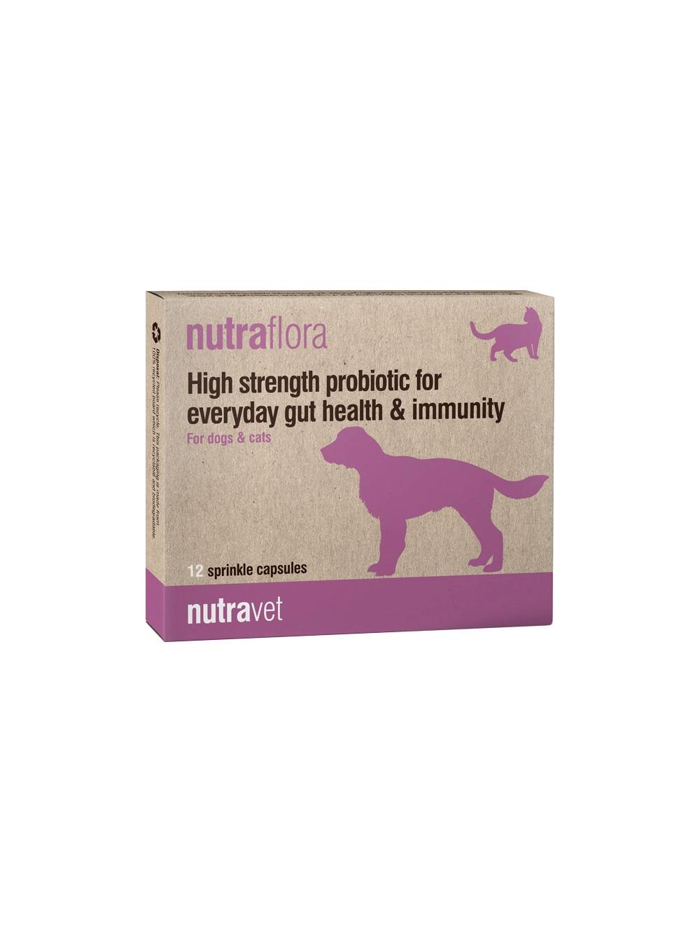 NUTRAVET Nutraflora For Dogs & Cats 12kaps - Probiotyk o wysokiej sile wspomagający codzienne zdrowie jelit i odporności