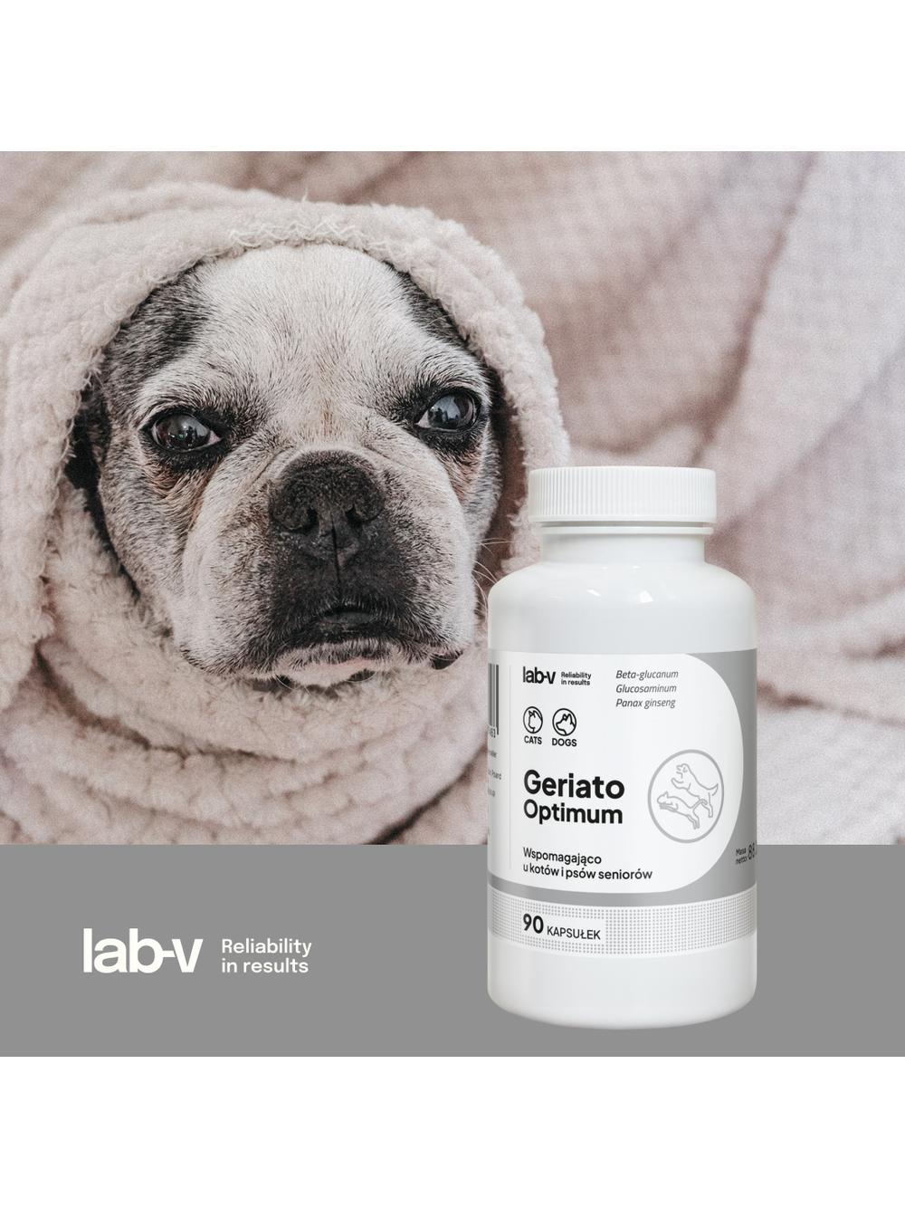 Lab-v Geriato Optimum – Wspomaganie zdrowia seniorów dla psów i kotów 90 kapsułek