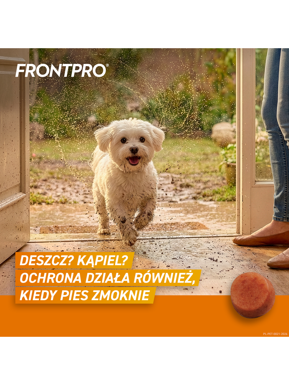 Frontpro tabletki na pchły i kleszcze S 11,3mg 2-4kg 1 TABLETKA