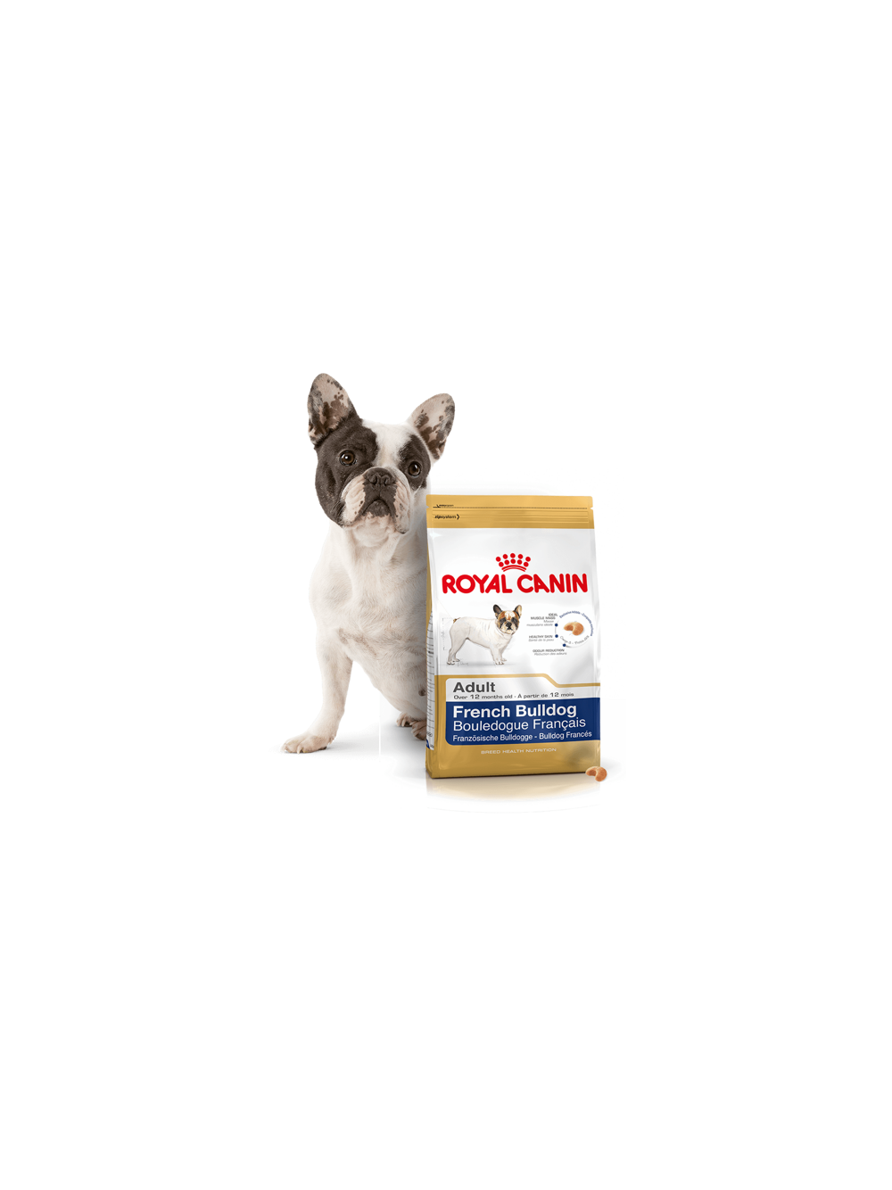 ROYAL CANIN French Bulldog Adult 9kg karma sucha dla psów dorosłych rasy bulldog francuski + niespodzianka dla psa GRATIS!