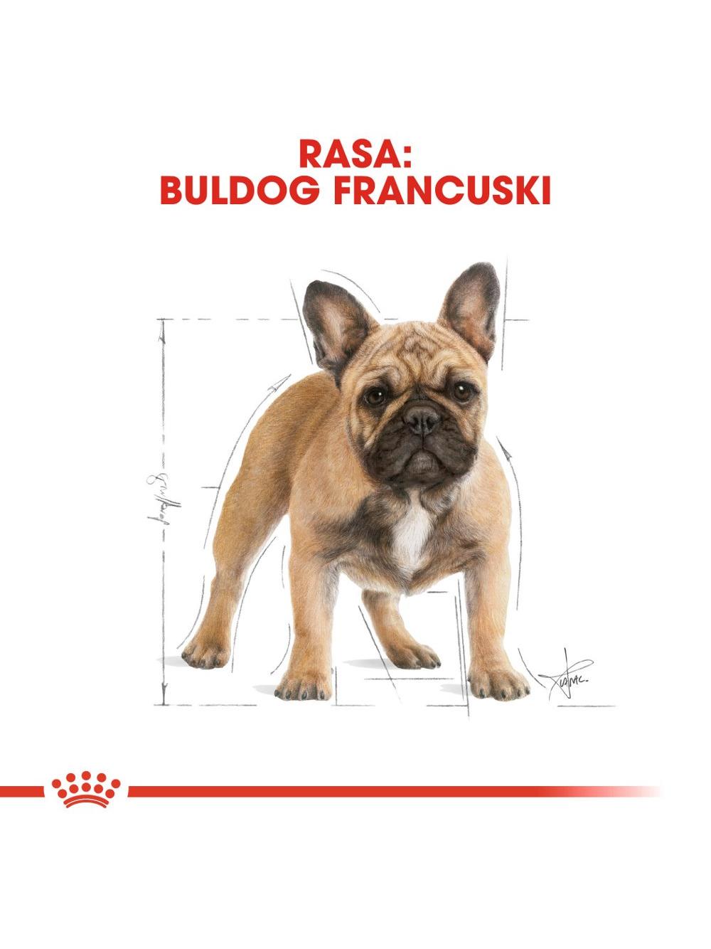 ROYAL CANIN French Bulldog Adult 1,5kg karma sucha dla psów dorosłych rasy bulldog francuski