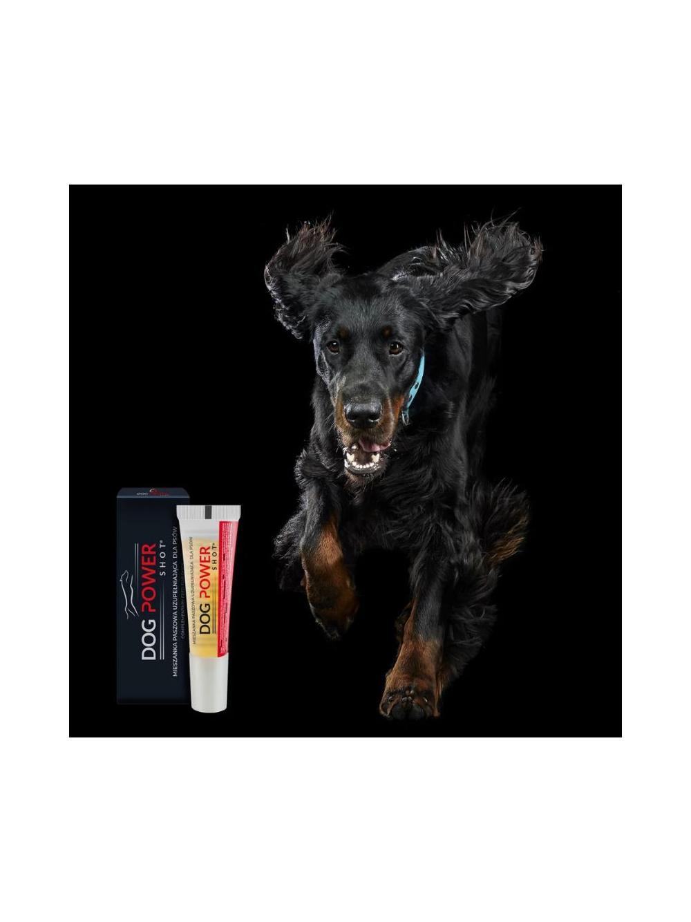 DOG POWER SHOT® – preparat zwiększający sprawność fizyczną psów 16g