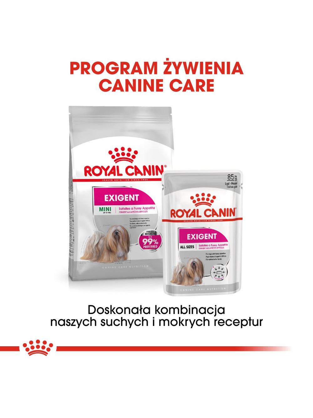 ROYAL CANIN CCN Exigent 12x85g karma mokra - pasztet dla psów dorosłych, wybrednych