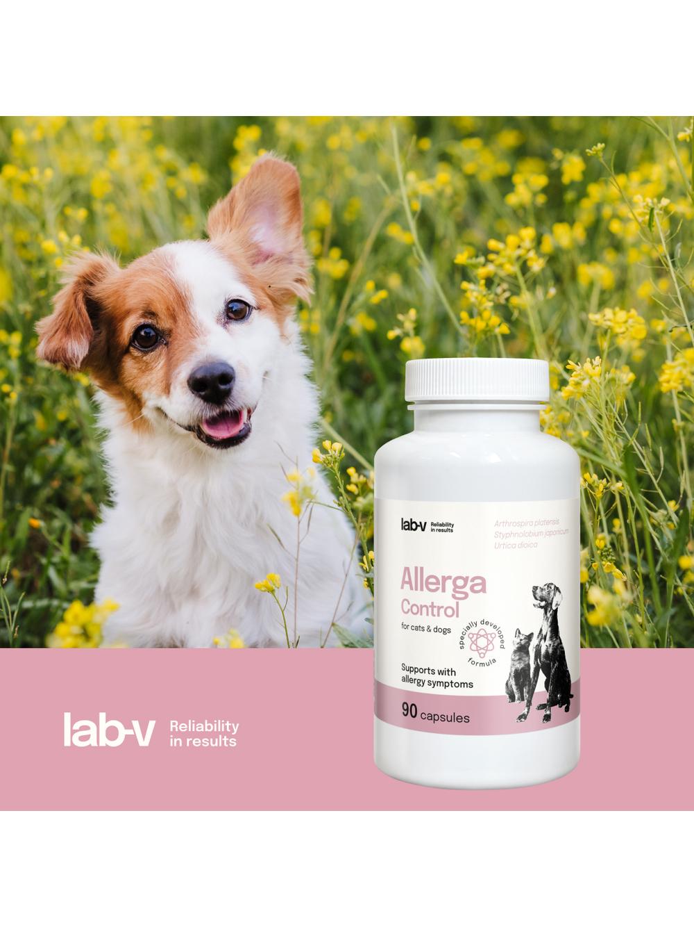 Lab-v Allerga Control – Wsparcie przy objawach alergii 90 kapsułek
