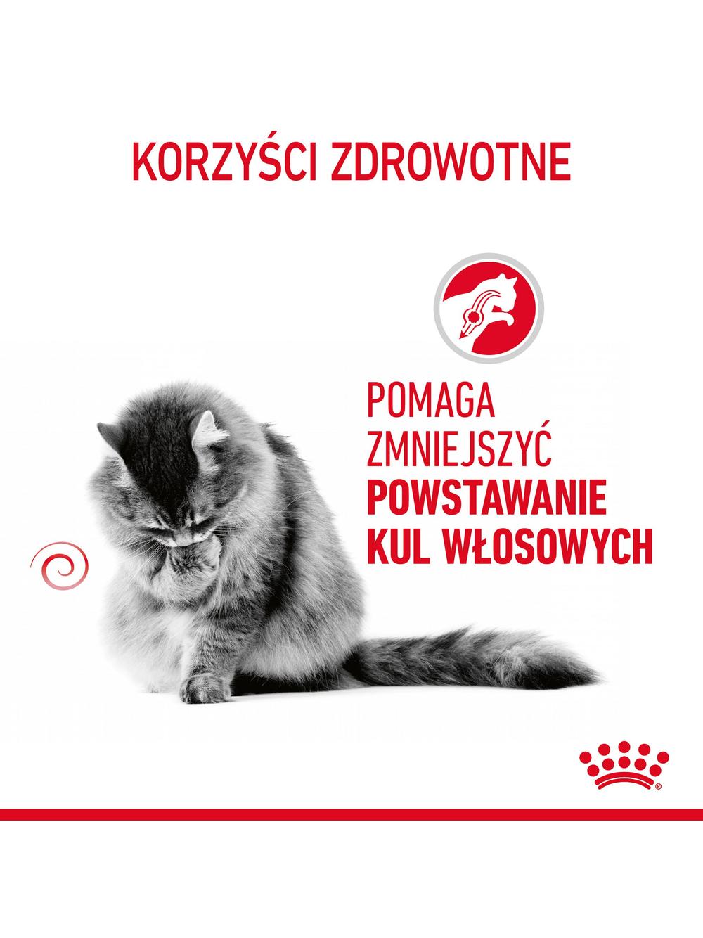 ROYAL CANIN  Hairball Care 12x85g karma mokra w sosie dla kotów dorosłych, eliminacja kul włosowych