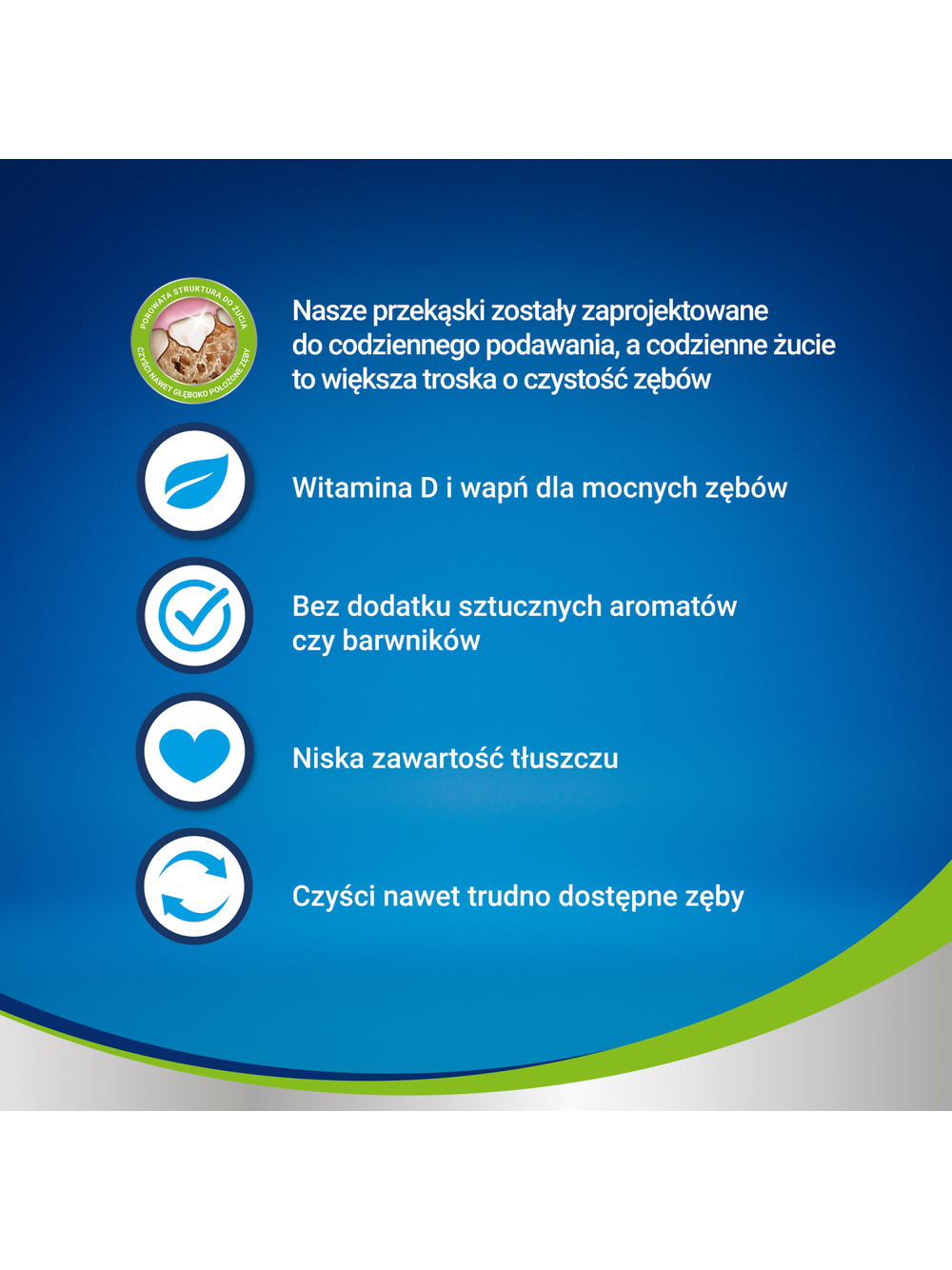 Purina Dentalife Large 142g