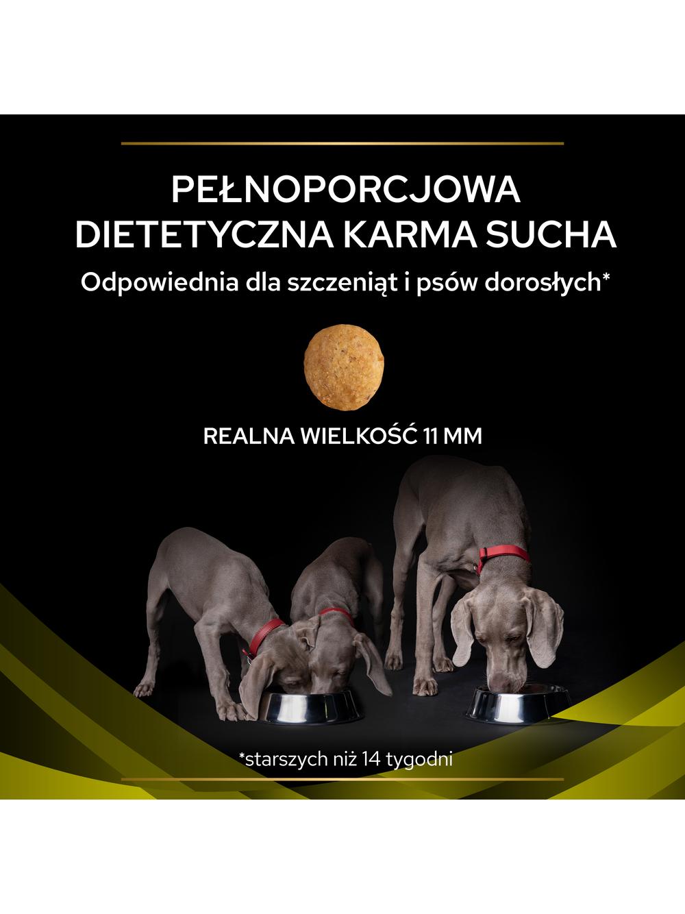 PRO PLAN Veterinary Diets HP Hepatic Karma sucha dla psa 12kg