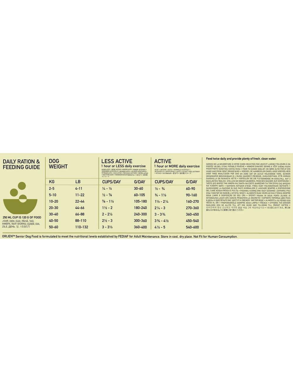 ORIJEN Dog Senior 6kg + niespodzianka dla psa GRATIS!
