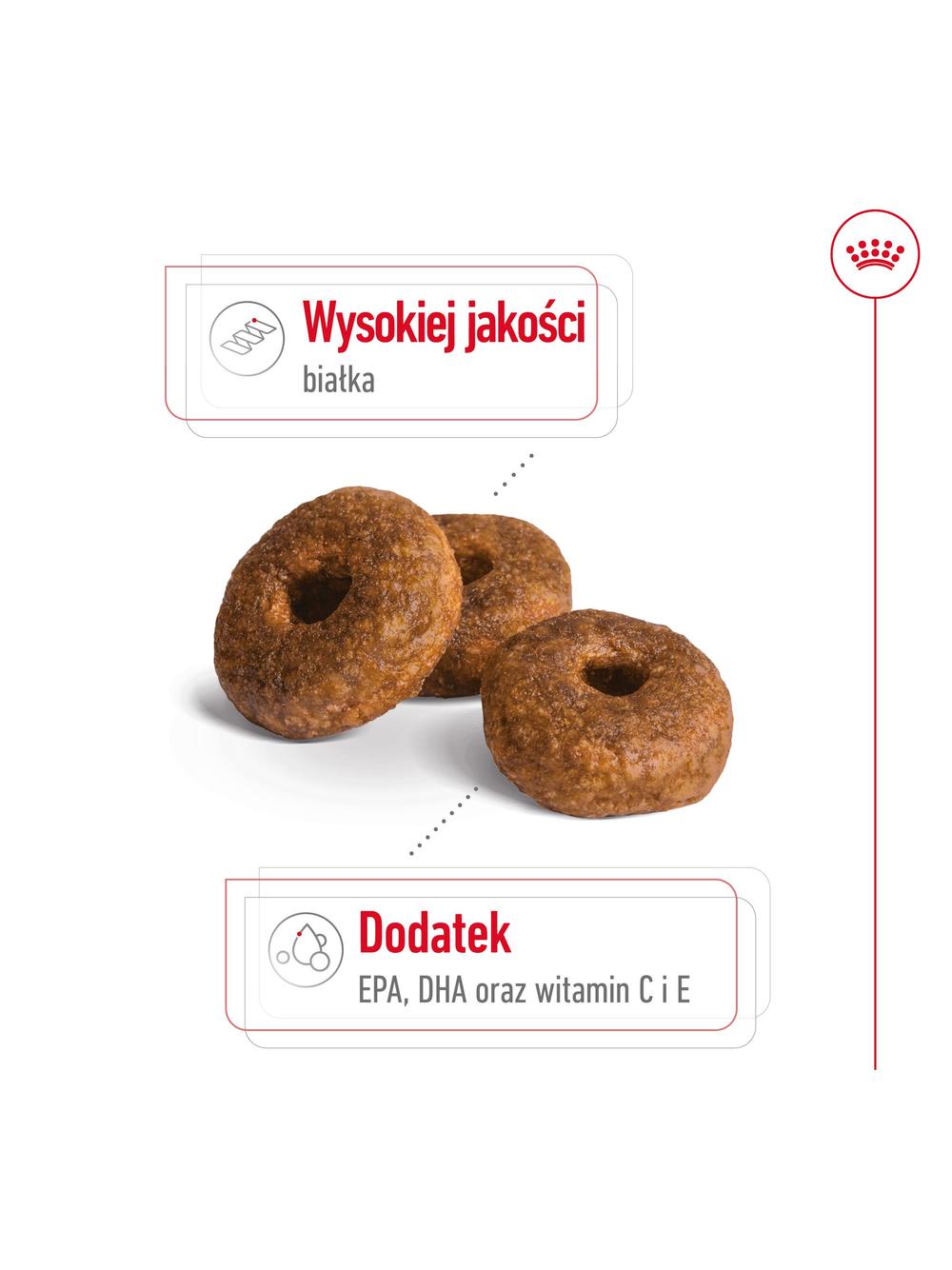 ROYAL CANIN Medium Ageing 10+ 15kg karma sucha dla psów dojrzałych po 10 roku życia, ras średnich