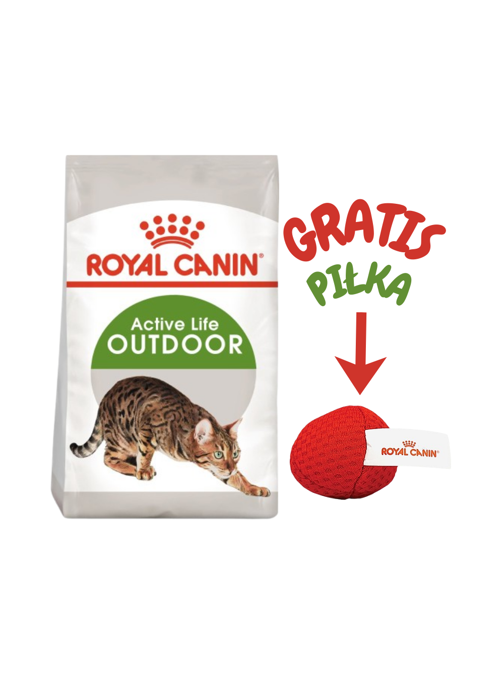 ROYAL CANIN  Outdoor 30 10kg karma sucha dla kotów dorosłych, wychodzących na zewnątrz + Royal Canin piłka dla kota GRATIS!!!