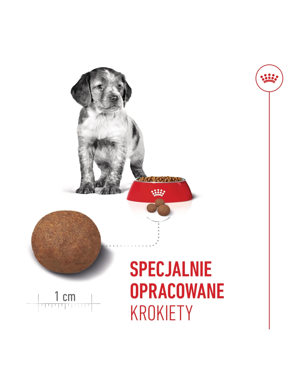 ROYAL CANIN Medium Puppy 4kg karma sucha dla szczeniąt, od 2 do 12 miesiąca, ras średnich + NIESPODZIANKA DLA PSA GRATIS!