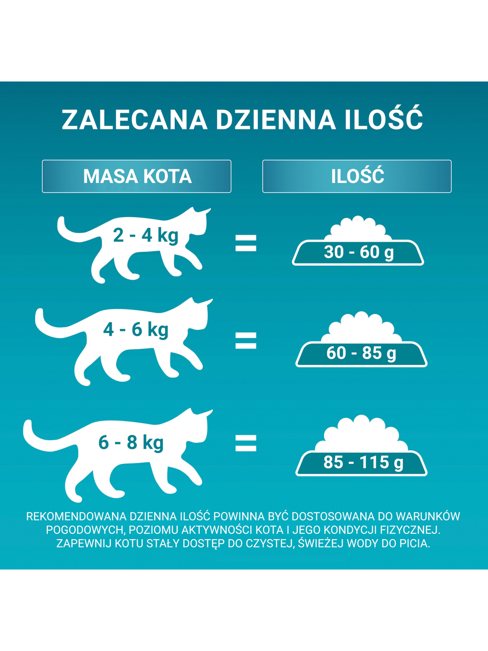 Purina One Cat Adult Karma z łososiem dla kota 800g