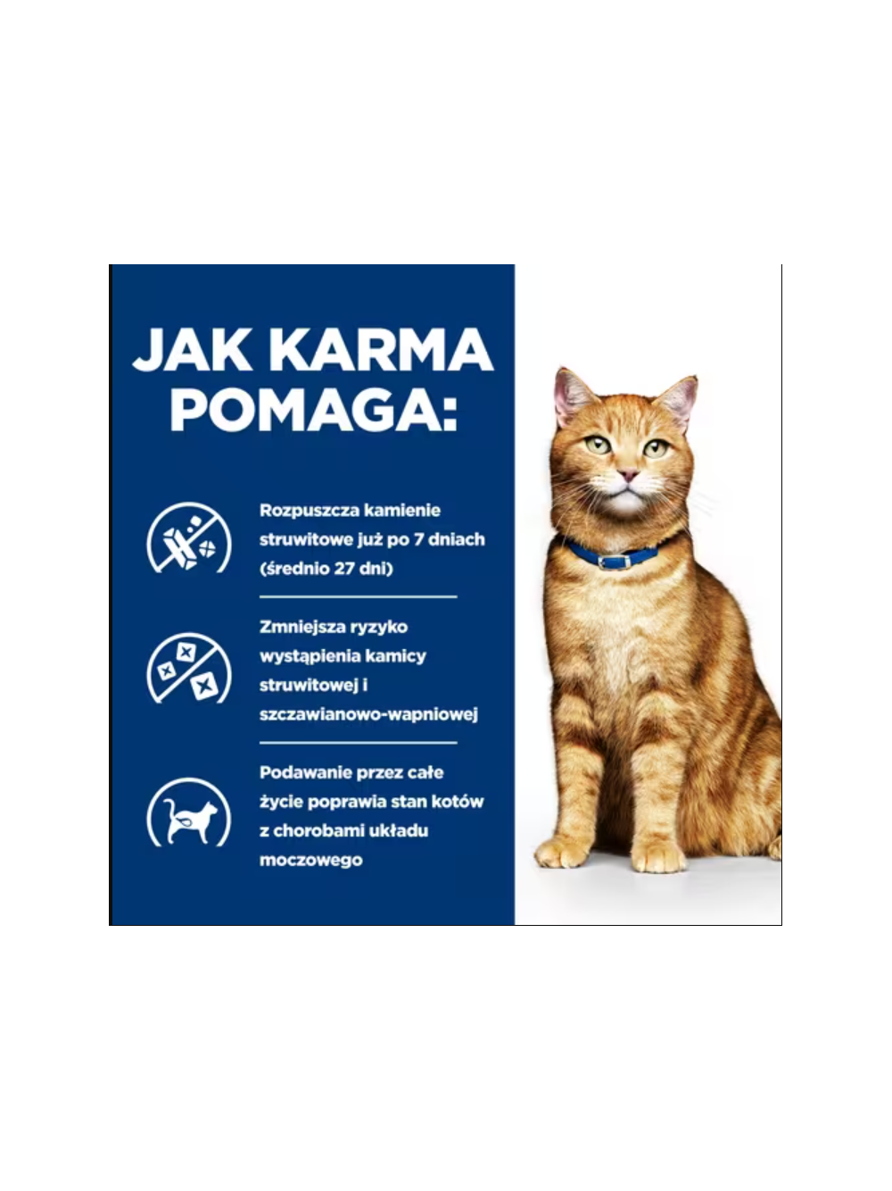 HILL'S PD Prescription Diet Feline c/d Multicare Kurczak 6x156g - puszka