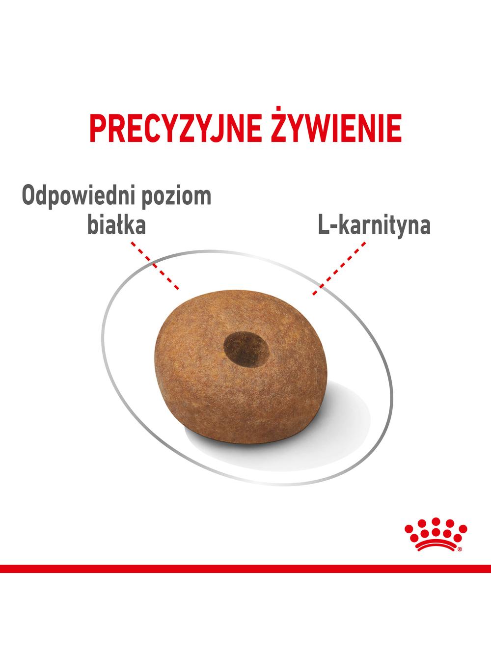 ROYAL CANIN CCN Medium Light Weight Care 12kg karma sucha dla psów dorosłych, ras średnich z tendencją do nadwagi