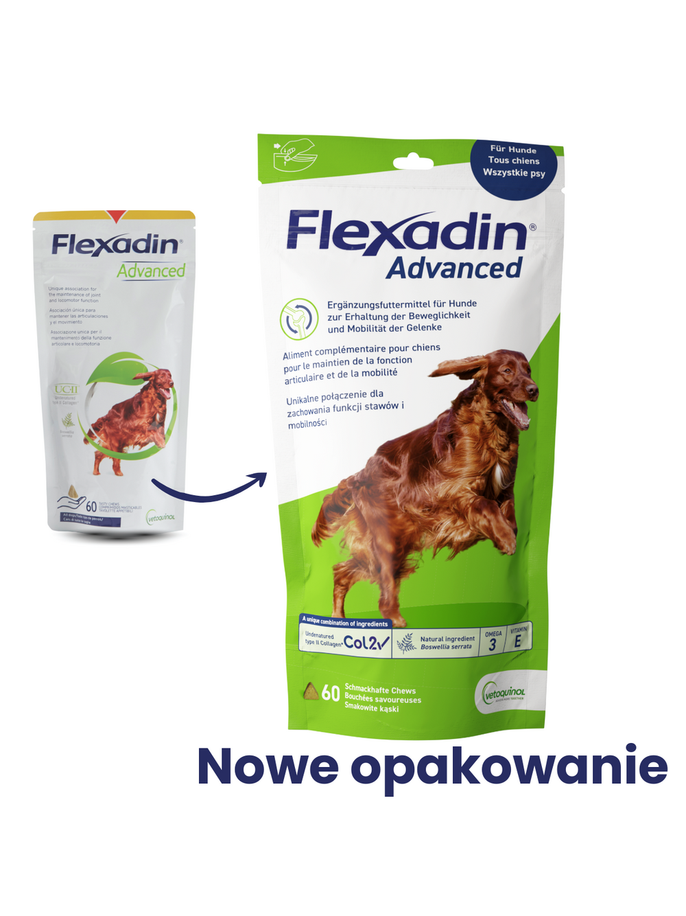 VETOQUINOL Flexadin Advanced 60 kąsków + DentaStix 2x77g