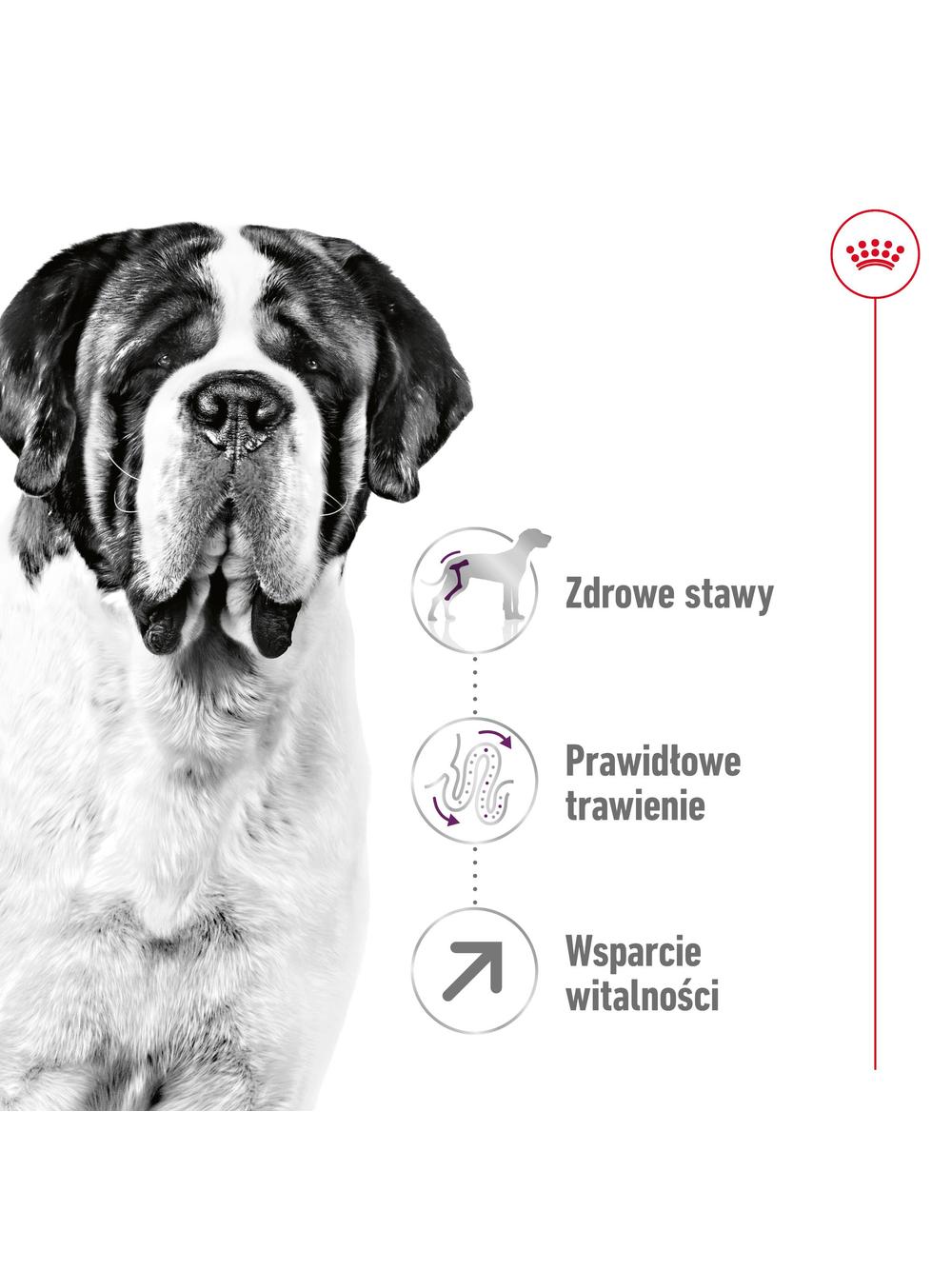 ROYAL CANIN Giant Adult 15kg karma sucha dla psów dorosłych, od 18/24 miesiąca życia, ras olbrzymich