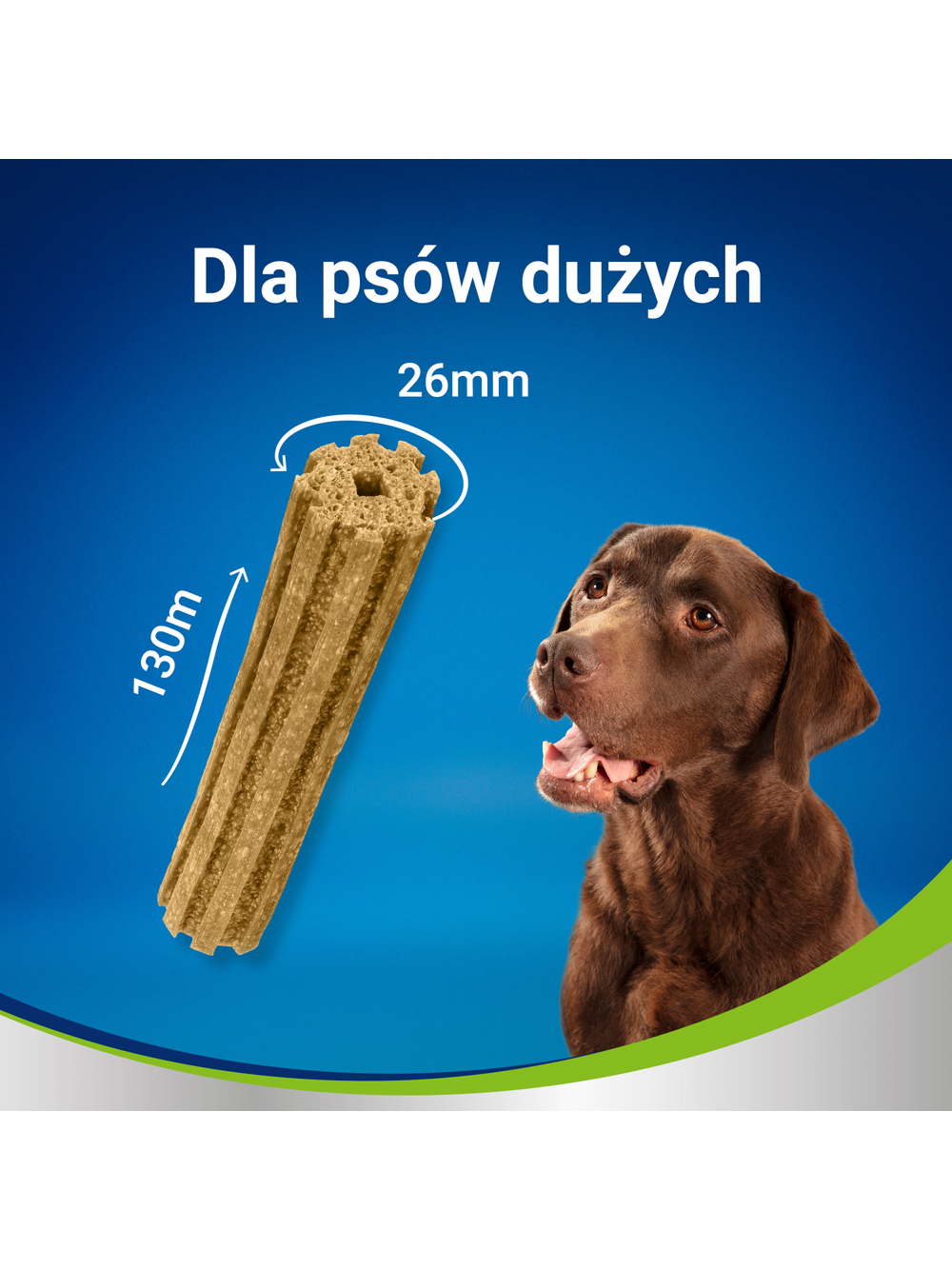 Purina Dentalife Large 142g