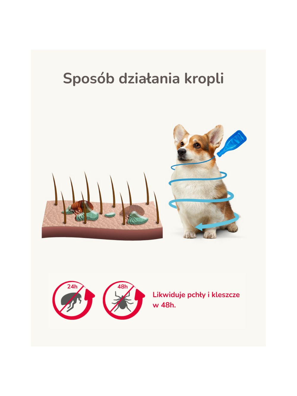 Fiprotec L dla psów od 20 do 40 kg  - 268mg