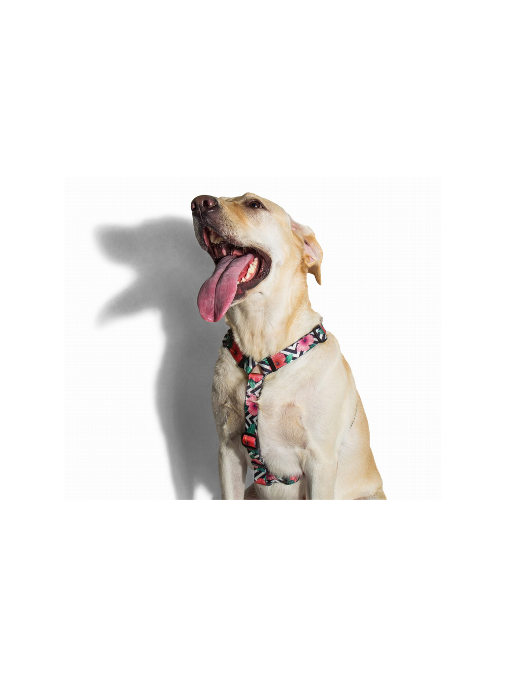 ZEE DOG Szelki dla psa Mahalo XS