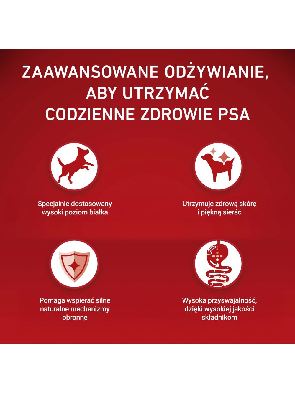 Purina One Adult Mini/Small Karma dla dorosłych psów bogata w wołowinę z ryżem 1,5 kg/Opakowanie uszkodzone (9372) !!!