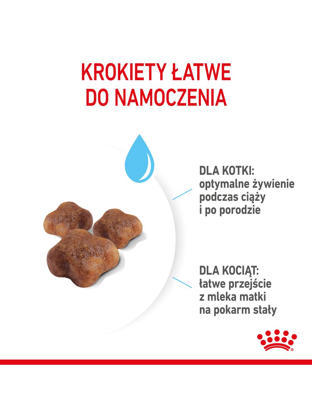 ROYAL CANIN  Mother&Babycat 4kg karma sucha dla kotek w okresie ciąży, laktacji i kociąt od 1 do 4 miesiąca życia + Royal Canin piłka dla kota GRATIS!!
