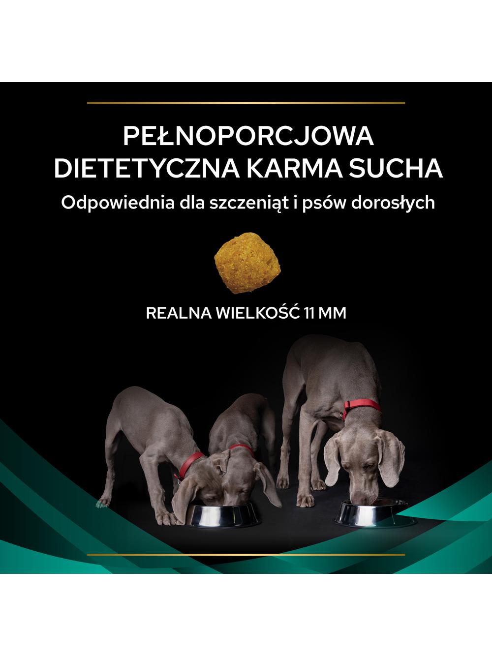 PRO PLAN Veterinary Diets Canine EN Gastrointestinal Karma sucha dla psa 5kg/Opakowanie uszkodzone (5972,8542,9173) !!!