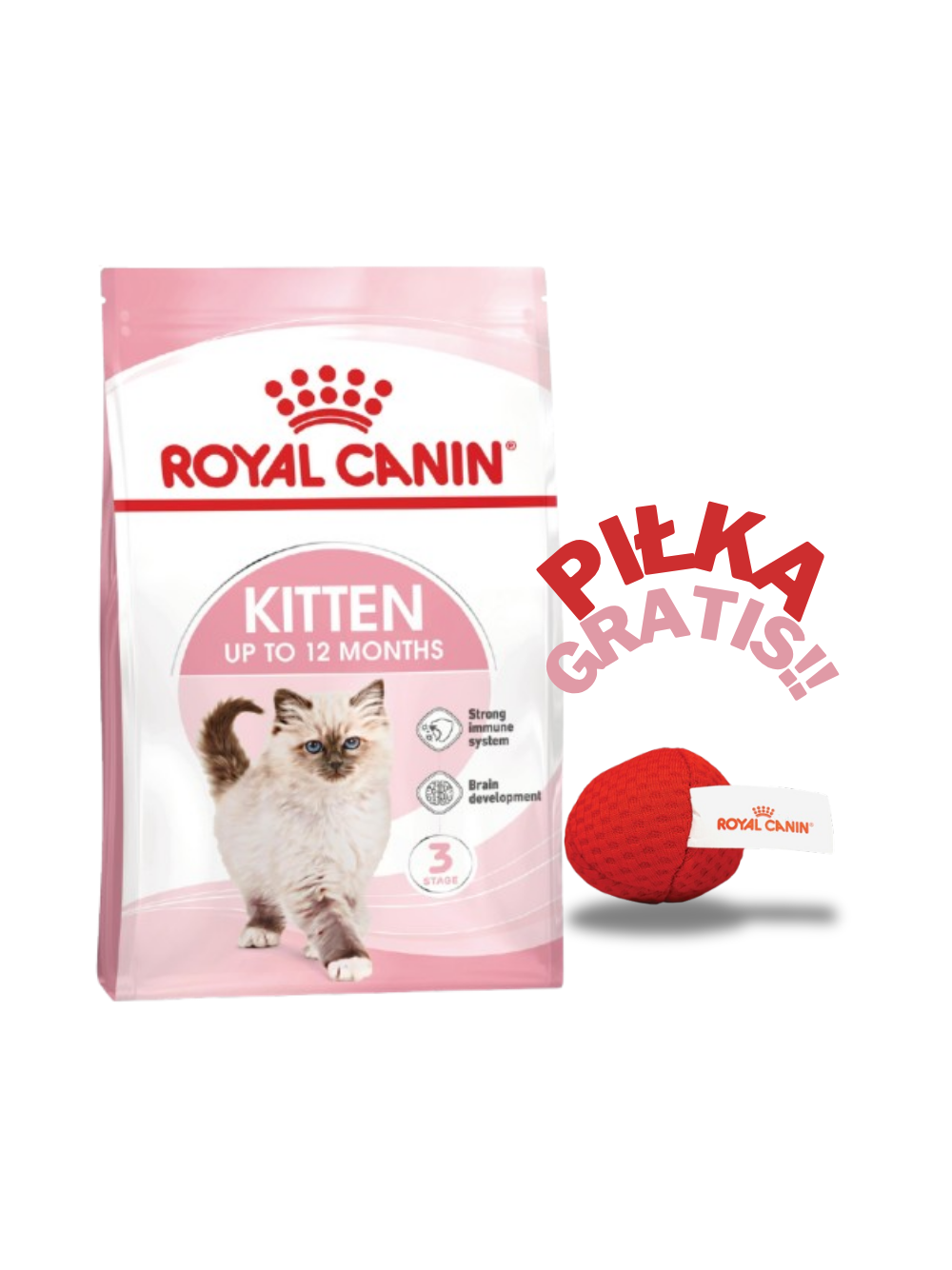 ROYAL CANIN  Kitten 4kg karma sucha dla kociąt od 4 do 12 miesiąca życia + PIŁKA GRATIS!!