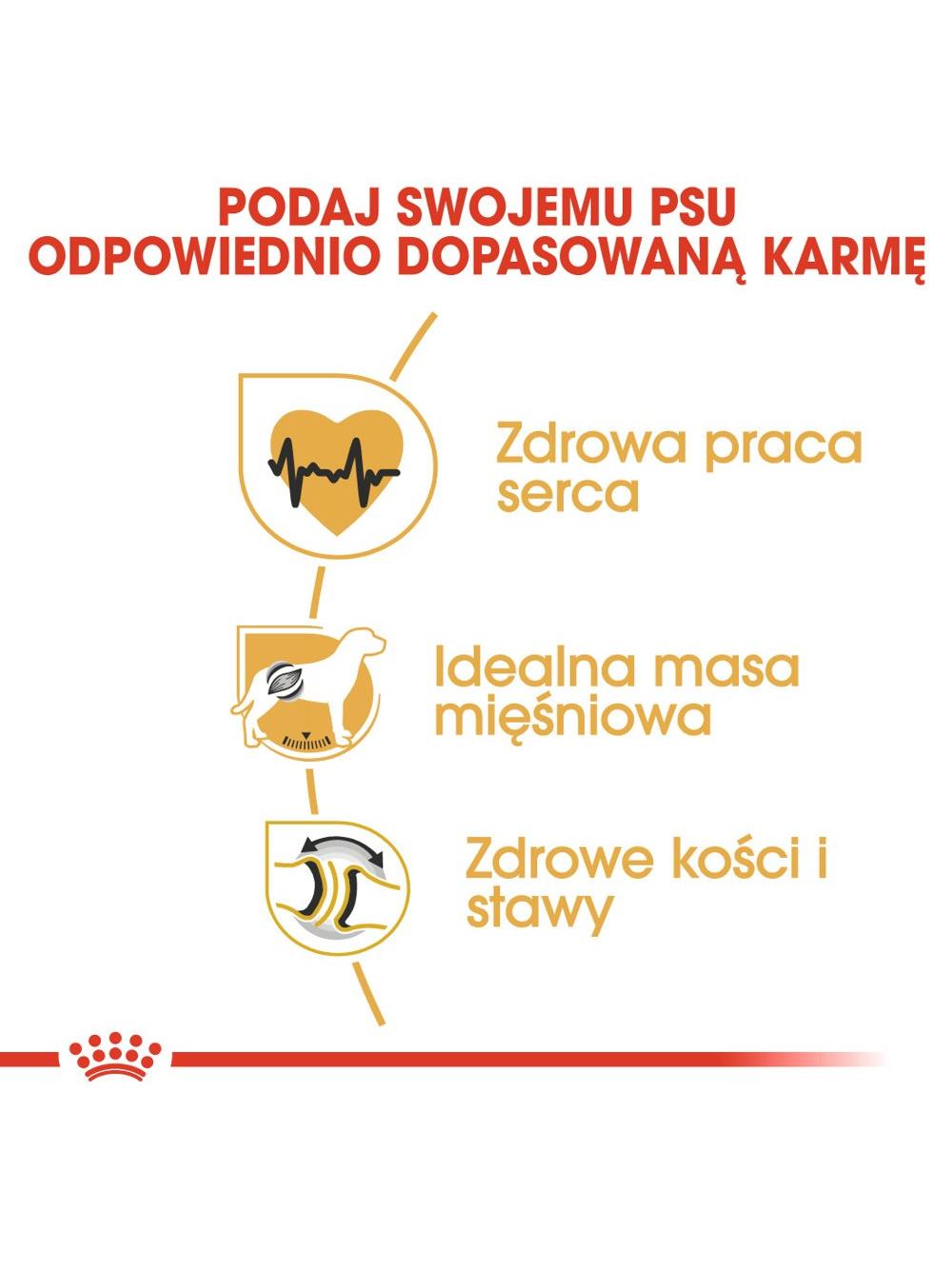 ROYAL CANIN Rottweiler Adult 11kg karma sucha dla psów dorosłych rasy rottweiler / Opakowanie uszkodzone (7004) !!!