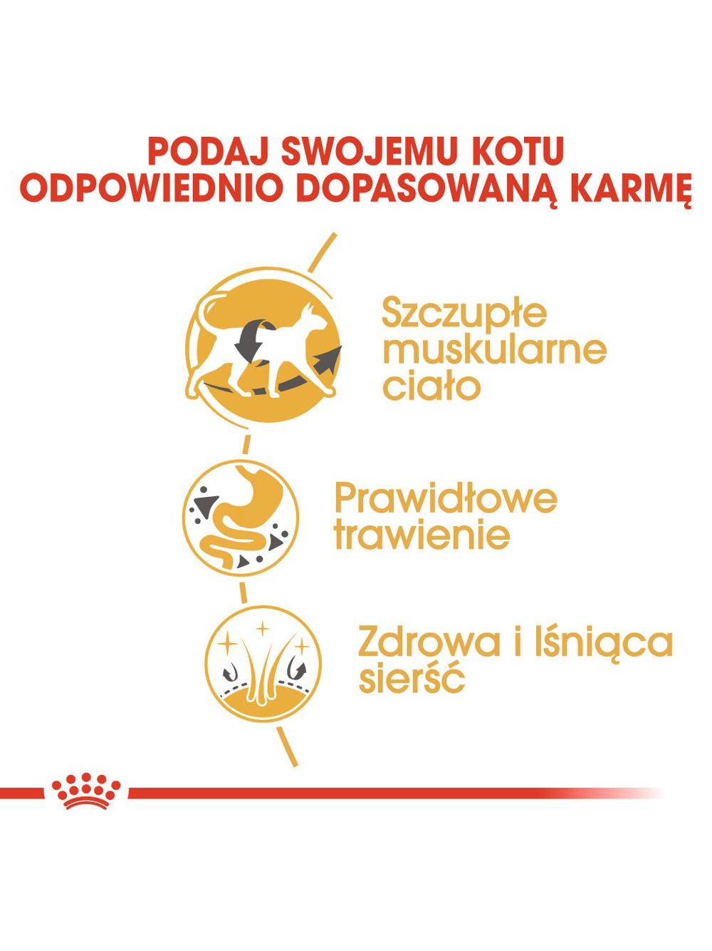 ROYAL CANIN Siamese Adult 2kg karma sucha dla kotów dorosłych rasy syjamskiej