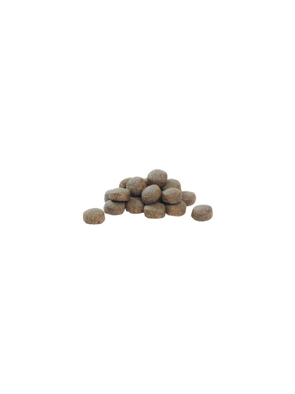 Purina Pro Plan Large Puppy Robust Optistart, kurczak i ryż 12kg  + niespodzianka dla psa GRATIS!