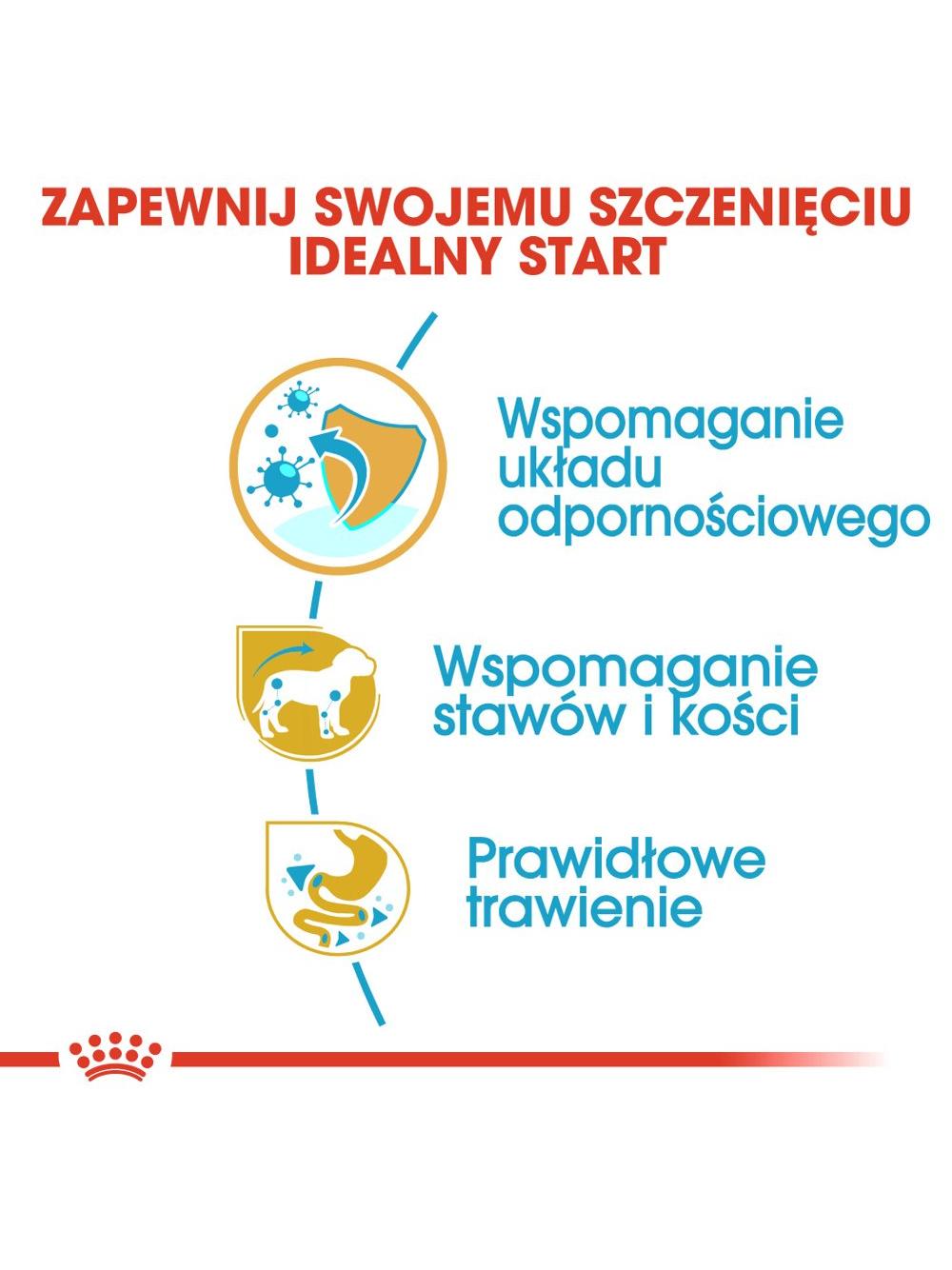 ROYAL CANIN Dachshund Puppy 1,5kg karma sucha dla szczeniąt do 10 miesiąca, rasy jamnik