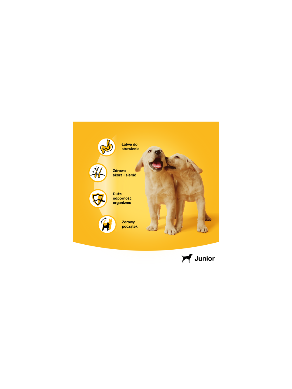 PEDIGREE Junior puszka 400g – mokra, pełnoporcjowa karma dla szczeniąt, z kurczakiem w galaretce