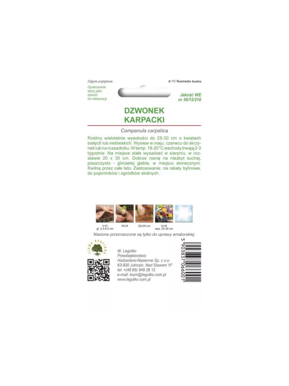 Dzwonek karpacki biały, niebieski, mieszanka