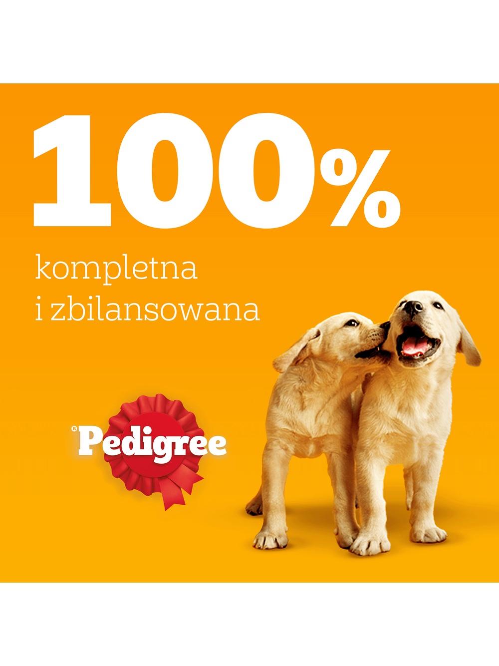 PEDIGREE Junior mix smaków w galaretce 12x100g